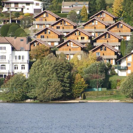 Chalet Vosgien เฌราร์แมร์ ภายนอก รูปภาพ