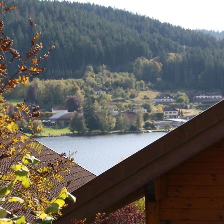 Chalet Vosgien เฌราร์แมร์ ภายนอก รูปภาพ