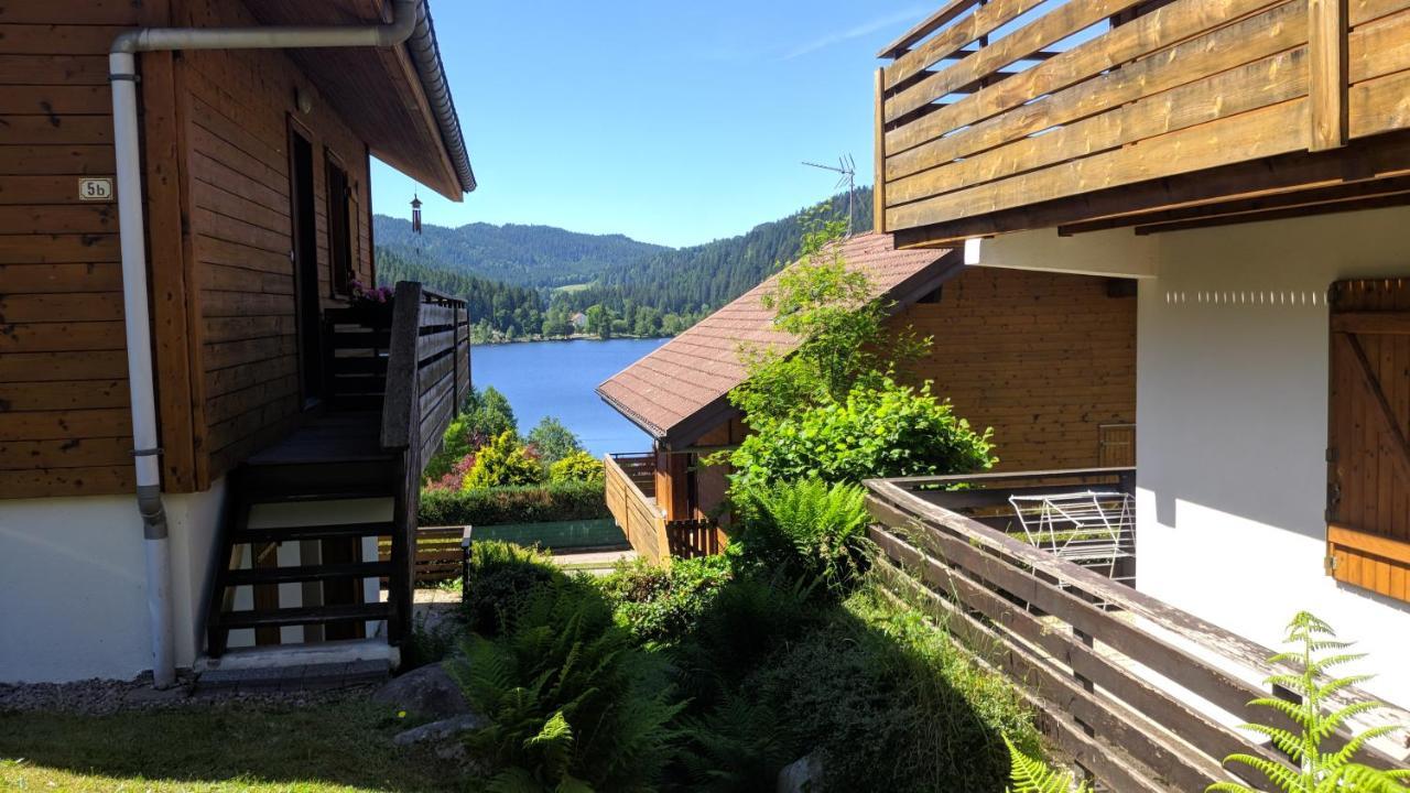 Chalet Vosgien เฌราร์แมร์ ภายนอก รูปภาพ