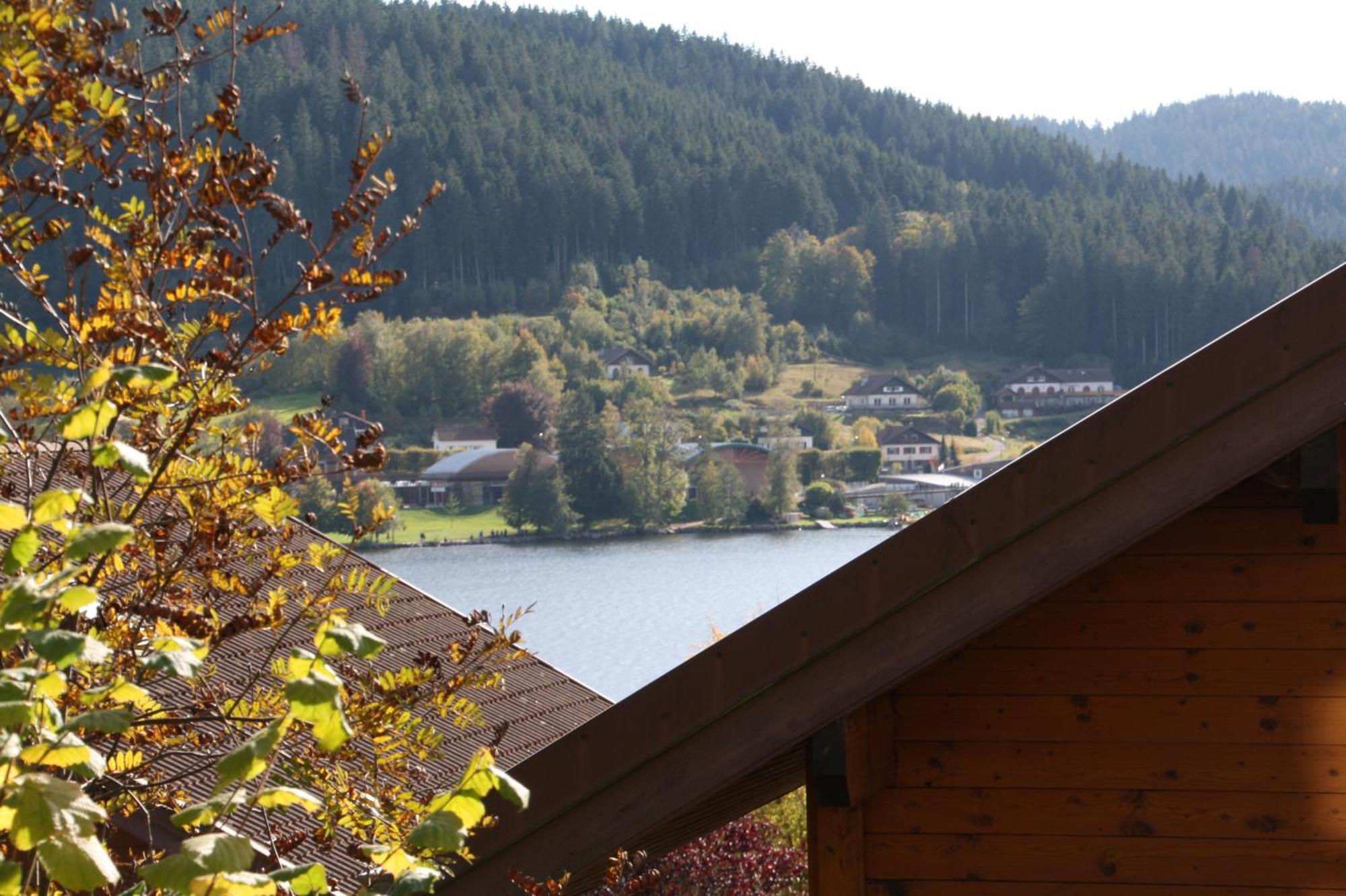 Chalet Vosgien เฌราร์แมร์ ภายนอก รูปภาพ